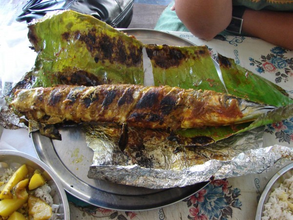 This is the grilled barracuda we had that day for lunch.