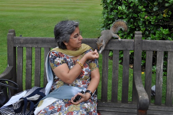 The bold squirrel at the Kensington Palace gardens