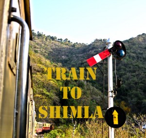 Train to Shimla to take us from 656 metres above sea level to 2076 metres above sea level...