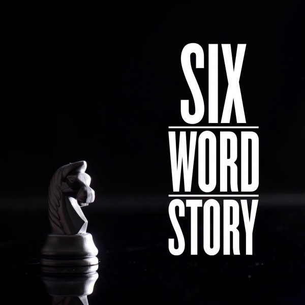 Six word stories