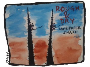 Sandpaper snake - Rough and Dry hair