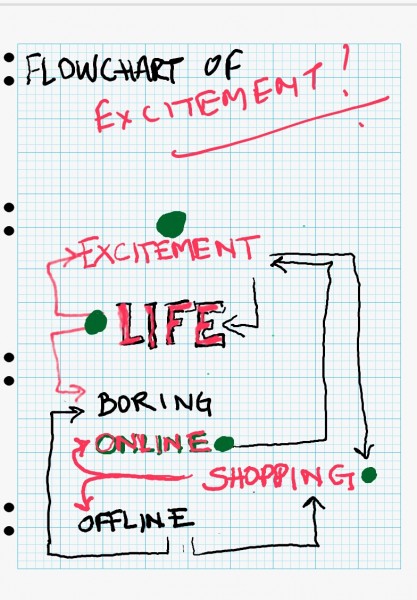 The flowchart of excitement!