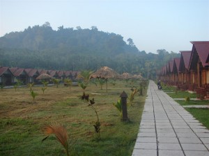 The undulating terrain and the forest cover on the island are obvious.