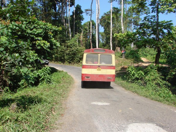 The local bus dropped us at the place where the forest trek began.