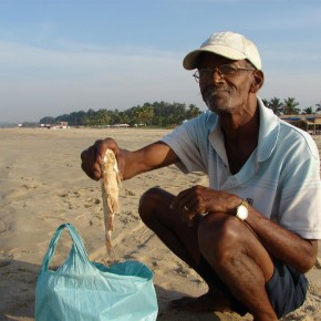 The Goan fisherman who caught just starfish