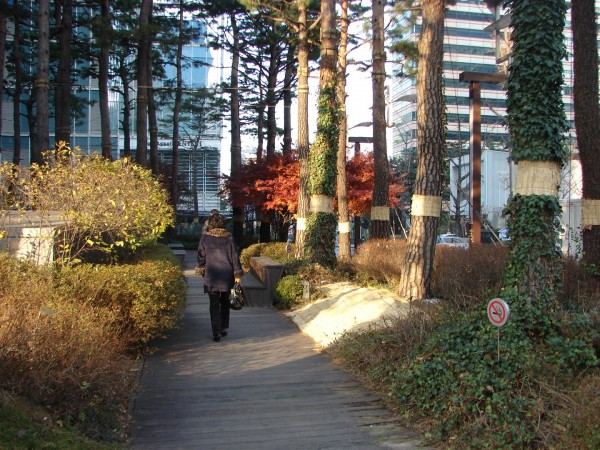 Seoul manages to create nature havens even in the midst of high-rise architectural jungles!