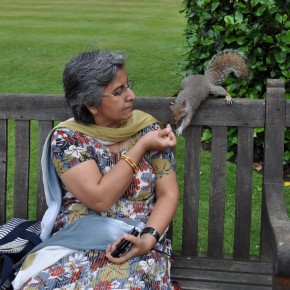 The squirrels of Kensington Palace