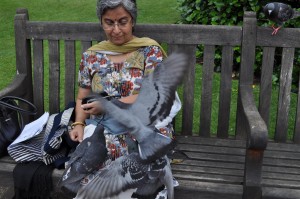 After we too had a few almonds to offer... besieged by the eager pigeons!