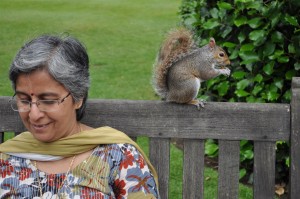 The squirrel is now relaxed... and knows it is with friends from India!