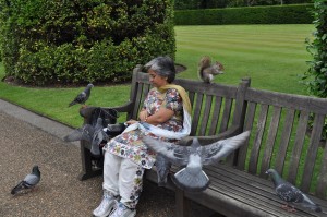 What an incredibly lovely time we had with these pigeons and squirrels of England!