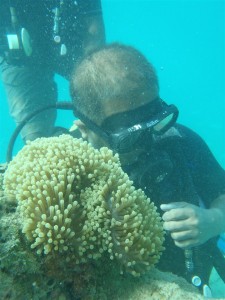 ...and then you just happen to look closely at these waving fascinations of the denizens of the deep sea and wonder at their youthfulness