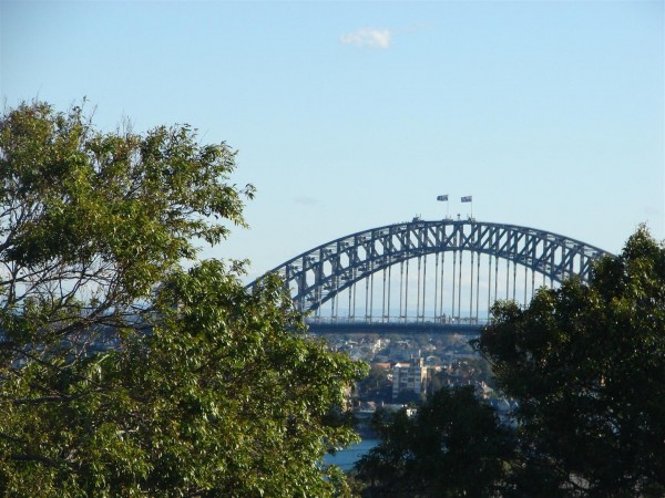 Another endearing view of the bridge!