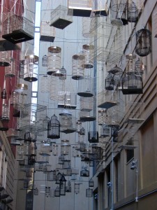 Fascinating display of hanging cages in a lane off the main George Street...