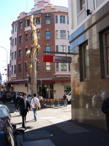 Golden Watermouth near China Town in Sydney...