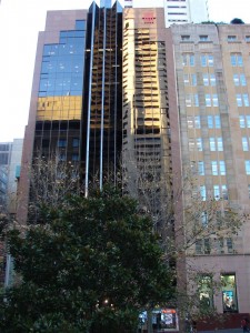 Even trees must be wondering at the ever changing city that is reflected by tall buildings!