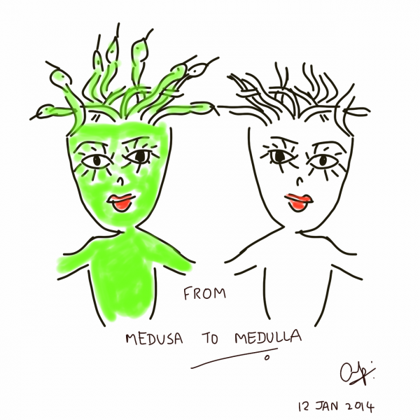 From Medusa to Medulla... with recharged hair!