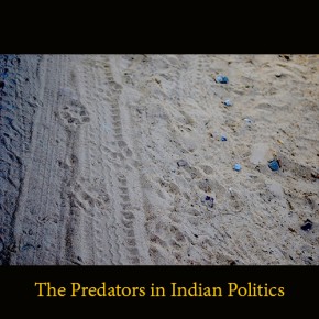 The predators in Indian politics