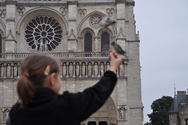 At first my eyes were focused on the Notre Dame, admiring its architecture... and the bird or the girl did not matter...