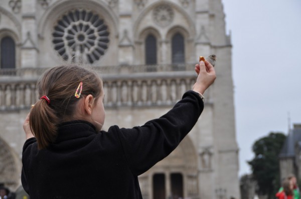 When I saw a sparrow perched on the little girl's extended hand, my focus shifted...