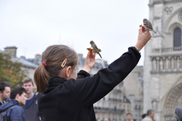 And I saw how friendly the birds were... or was it that they were fearless of the little girl?