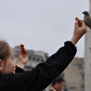 A bird, a cookie, and a lesson in love in Paris