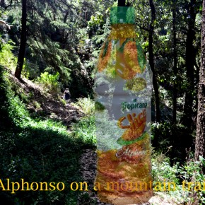 Alphonso on a mountain trail