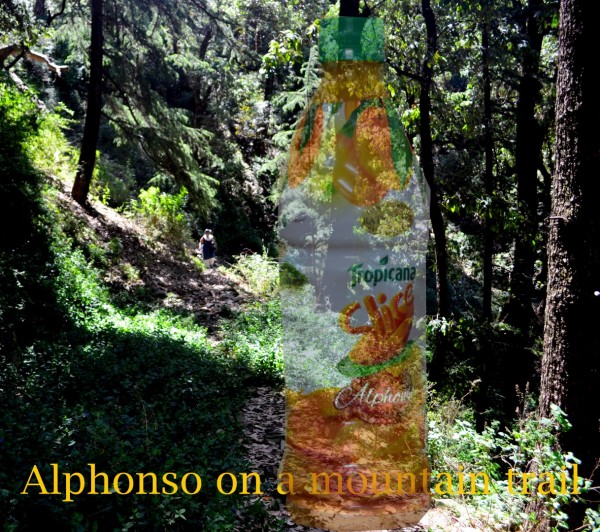 Alphonso on a mountain trail