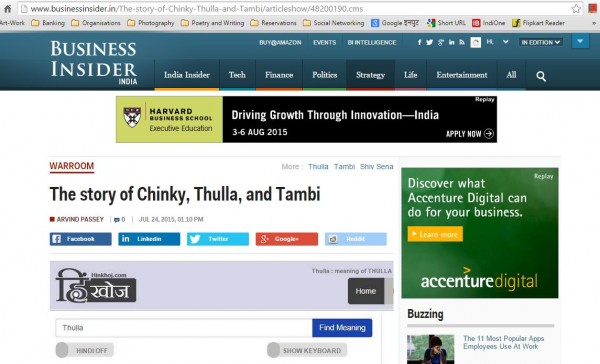 2015_07_24_businessInsider_The story of Chinky, Thulla, and Tambi_post