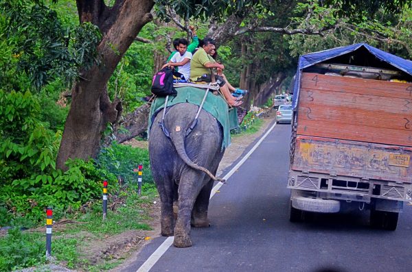 #TheRoyalReuvenation Journey to Namah Resorts. Journeys are about expectations...