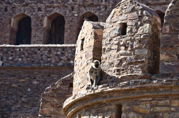 Bhangarh - even curses of tantriks cannot destroy it completely