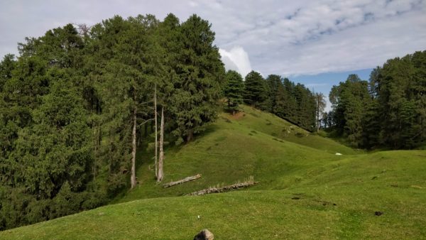 The way the tree line ends without a warning and you are left mesmerised