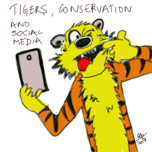 Tigers, conservation, and the social media